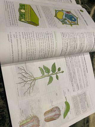 Biología y Geología 1 (Ed. 2024)