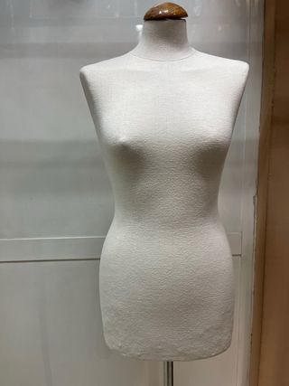 Maniquí profesional adulta/o.