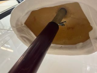 Maniquí profesional adulta/o.