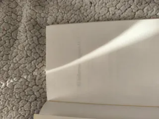 Libro "El informe Lugano II.  Democracia" George