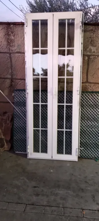 Puerta doble aluminio con cristal