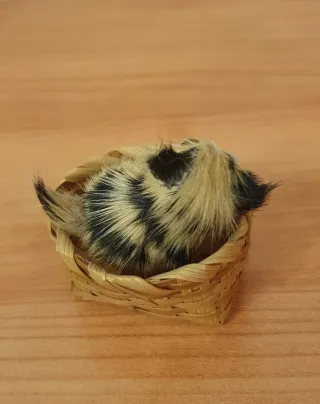 Pupazzetto gatto in cestino