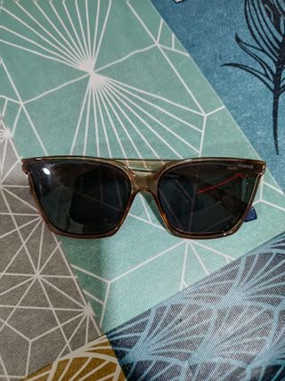 Gafas de sol Polaroid mujer negras y marrones