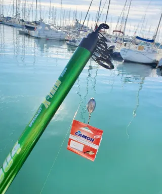 Equipo pesca, Lance, Pesca a Fondo, Caña Pesca