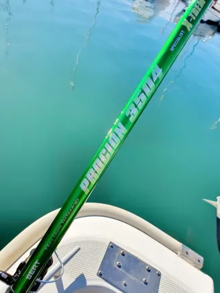 Equipo pesca, Lance, Pesca a Fondo, Caña Pesca