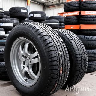 Neumaticos en Todas las medidas desde 49€