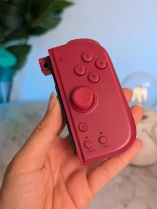 Joycons Hori
