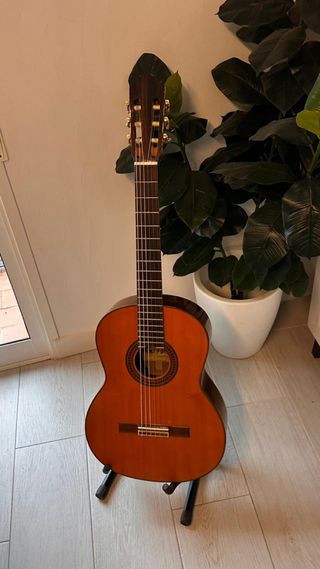 Guitarra Clásica Ronda