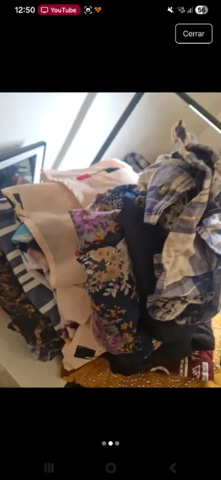 Lote de camisas multicolor