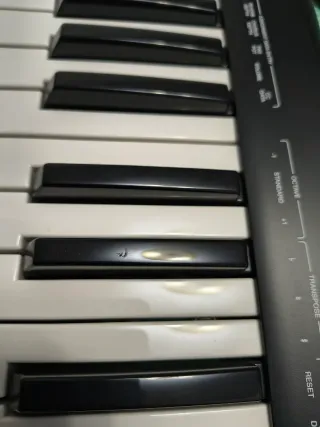 Teclado MIDI Alesis Q49