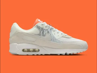 Nike Air Max 90 25th Anniversary 45 EU White pearl