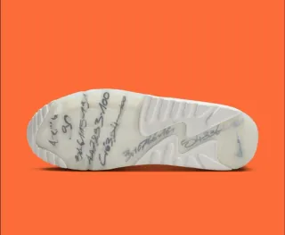 Nike Air Max 90 25th Anniversary 45 EU White pearl