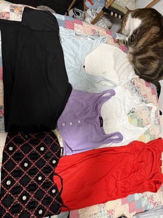 Lote 40 prendas ropa mujer