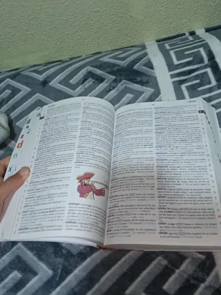 Diccionario Básico de la lengua española. Prima...