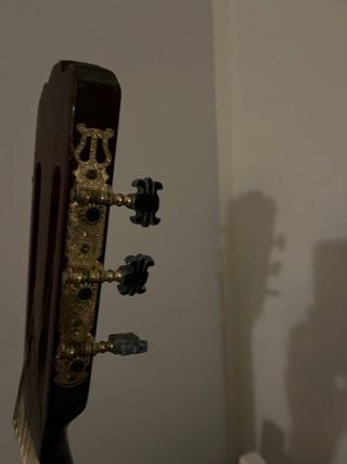 Chitarra Classica Gonzales C325