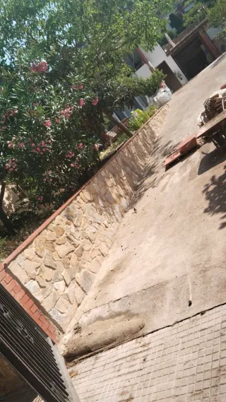 Reforma en general....