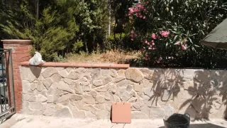 Reforma en general....