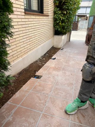 Reforma en general....