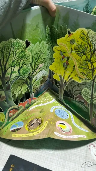 A Year in Nature A Carousel Book of the Seasons