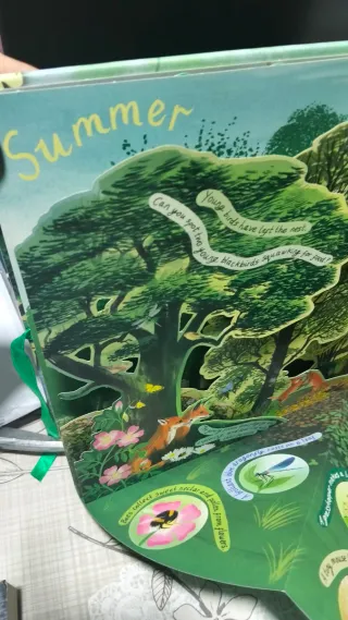 A Year in Nature A Carousel Book of the Seasons