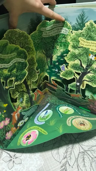 A Year in Nature A Carousel Book of the Seasons