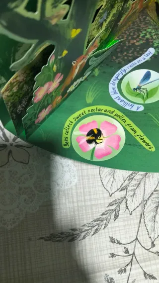 A Year in Nature A Carousel Book of the Seasons