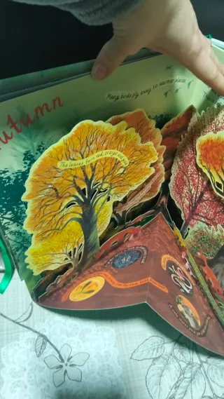 A Year in Nature A Carousel Book of the Seasons