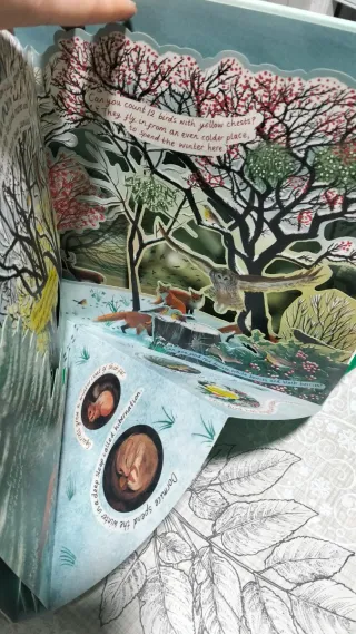 A Year in Nature A Carousel Book of the Seasons