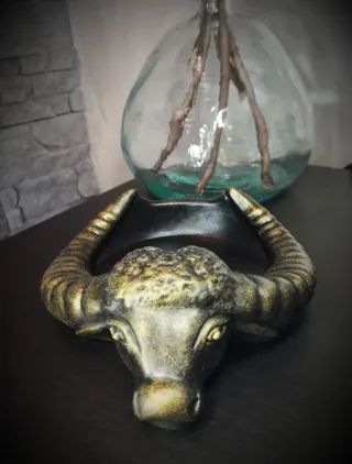 Vassoio Toro Loco Design