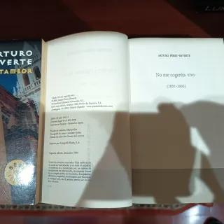 Lote novelas PÉREZ-REVERTE