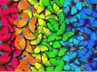 Kit Pintura Diamante Mariposas ARTDOT