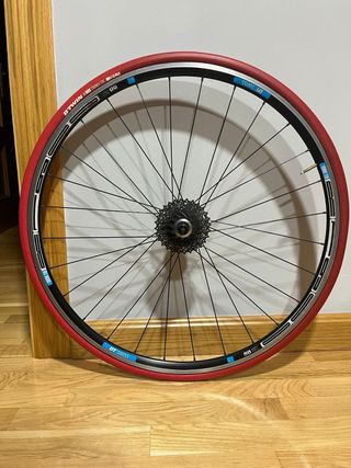 Rodillo Tacx T-2650 Blue Matic + Soporte