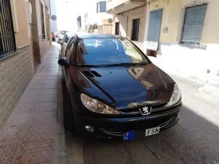 Peugeot 206 2007