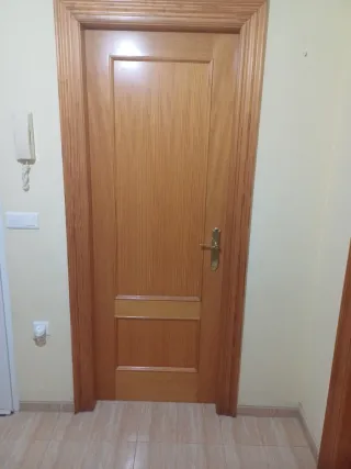 Puerta madera maciza