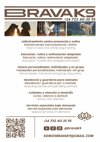 Guardería y adiestramiento canino