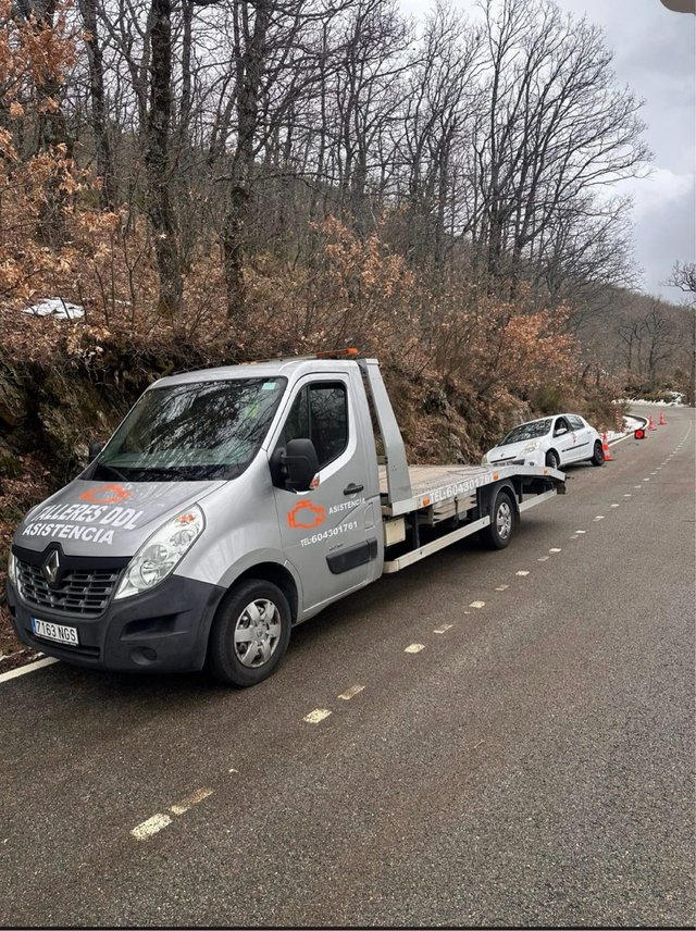 Renault Master 2017 grua porta vehiculos