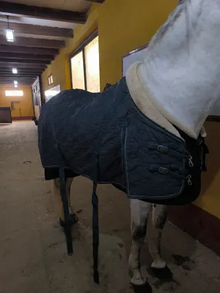 Manta caballo Imperial Riding (talla 135 )