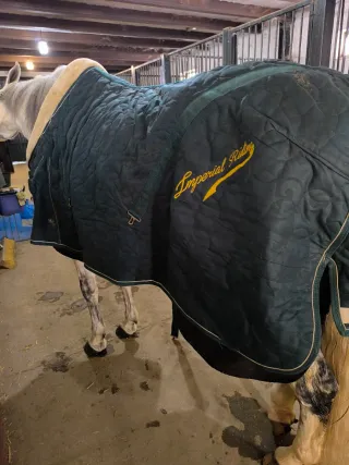 Manta caballo Imperial Riding (talla 135 )