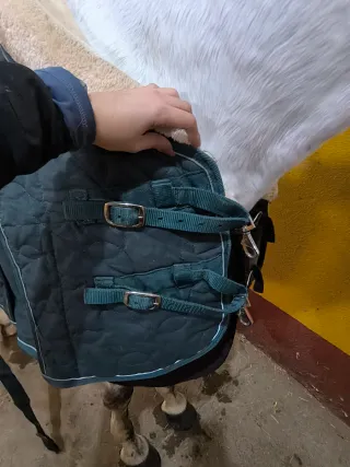 Manta caballo Imperial Riding (talla 135 )