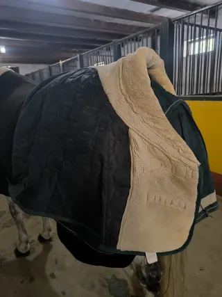 Manta caballo Imperial Riding (talla 135 )