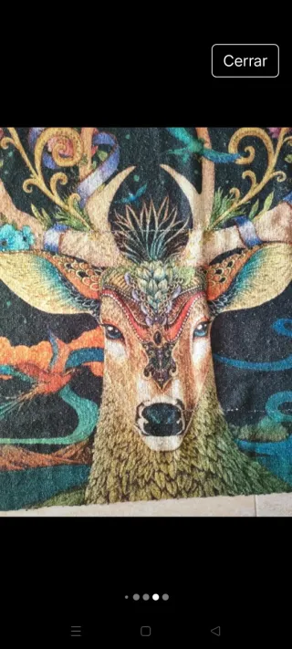 Chal / Bufanda Multicolor