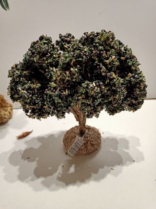 Alberi per presepe/diorama