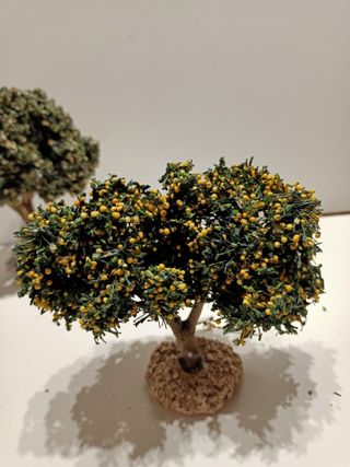 Alberi per presepe/diorama