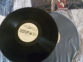 Vinilo Gary Moore 2LP The Gold Tour