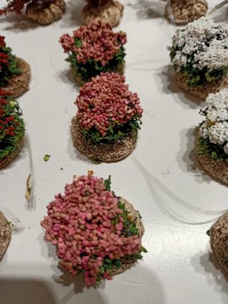 Vegetazione per presepi e diorami