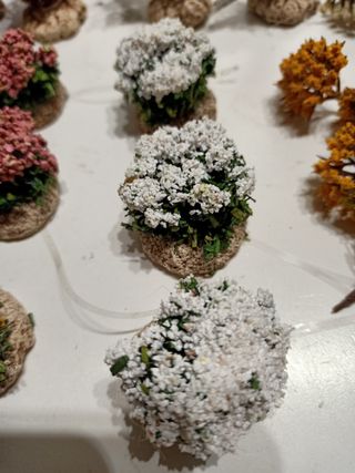 Vegetazione per presepi e diorami