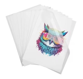 Stampante Epson DTF/sublimazione