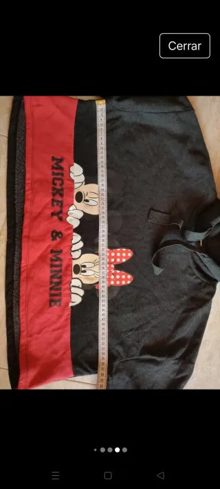 Sudadera Mickey & Minnie Gris oscuro y Roja