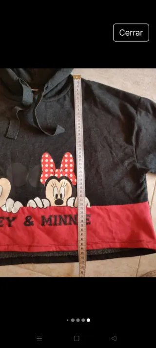 Sudadera Mickey & Minnie Gris oscuro y Roja
