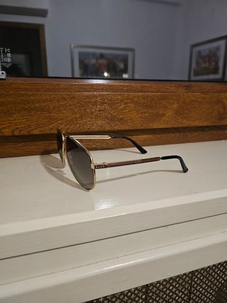 Occhiali gucci GG0137S